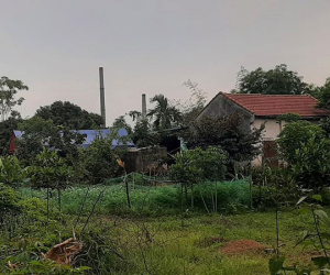 Can ngăn đánh nhau, chú bị cháu ruột nổ súng bắn chết