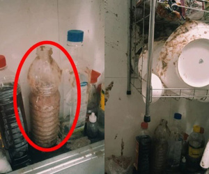 Hình ảnh gây ám ảnh trong một căn bếp: Từ một chai gia vị khiến cả nhà hoang mang