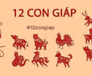 Đầu tháng 5 dương lịch, 3 con giáp này hoàn toàn rũ bỏ được vận xui, cả tháng đón tin vui dồn dập, làm gì cũng cảm nhận được sự thuận lợi hanh thông