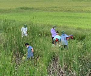 Vụ mẹ ôm thi thể con gái lên đường tàu: Phát hiện trên chiếc xe máy chở con có vết máu