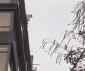 Clip: Nhảy từ tầng thượng của khách sạn trung tâm Hà Nội, nam thanh niên tử vong tại chỗ trước sự bàng hoàng của người dân