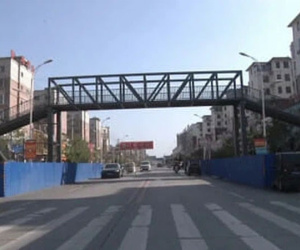 Sợ con gặp nạn khi đi học, bà mẹ chi 3,5 tỷ đồng xây cầu vượt dành riêng cho quý tử và '500 anh em' đến trường