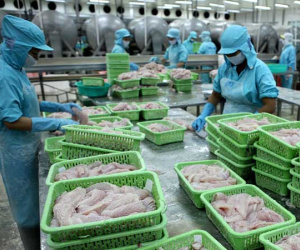 Đối thủ lớn gặp ‘vận đen’, hàng hot Việt Nam ồ ạt sang Nga - Mỹ