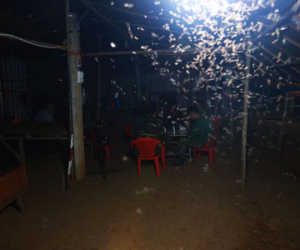 Bữa cơm ken đặc muỗi, kiến của các chiến sĩ chống dịch Covid-19 nơi biên cương
