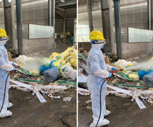 Cận cảnh thu gom rác trong các khu cách ly, phong tỏa ở vùng dịch Thuận Thành