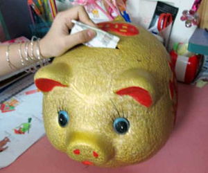 Mỗi ngày bỏ lợn 30 nghìn, sau 10 năm vợ chồng trẻ chắc tay gần 5 tỷ