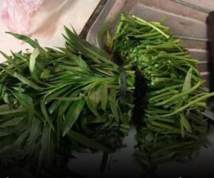 Lần đầu trổ tài vào bếp khi về ra mắt, cô gái dùng dao thái mớ rau muống một đường cho nhanh, mẹ chồng mặt tái mét đuổi khéo