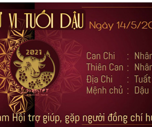 Tử vi thứ 6 ngày 14/05/2021 của 12 con giáp: Tý gặp rắc rối, Tị có lộc