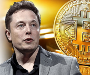 Tài sản Elon Musk 'bốc hơi' hơn 20 tỷ USD từ khi xuất hiện trong chương trình tấu hài Sarturday Night Live