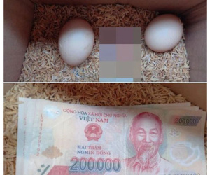Cô gái Sài Gòn khoe thùng đồ ăn mẹ gửi từ nơi cách xa nghìn cây số, nhìn 'hiện vật' đi kèm bên trong lại càng thấy xúc động hơn