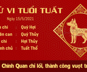 Tử vi thứ 7 ngày 15/05/2021 của 12 con giáp: Mùi lứa đôi khăng khít, Dần làm việc theo cảm hứng