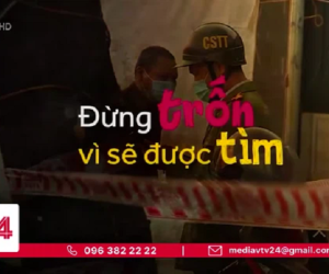 Bản tin VTV24 ngày càng 'mặn': Ai khai báo y tế gian dối, trốn cách ly trong mùa dịch vừa xem vừa 'toát mồ hôi lạnh'