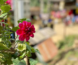 Nghỉ hè thời Covid: Sáng 'mắng' con, chiều 'mắng' chồng