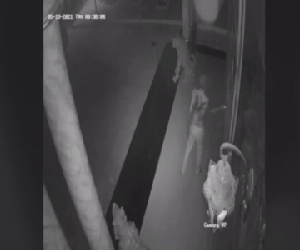 Thanh niên xăm trổ cầm hung khí đập cửa nhà dân lúc nửa đêm giả vờ kêu cứu, gia chủ check camera và có pha xử lý không thể chuẩn hơn
