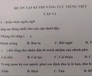 Đề thi năng lực tiếng Việt của Nhật Bản đọc xong lú luôn, có người còn nghi ngờ khả năng nói tiếng mẹ đẻ của mình vì quá khó