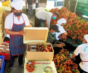 Vải thiều Thanh Hà 'xịn' giá 79.000 đồng/kg, giao hàng nhanh trong 2 tiếng, mua ở đâu?