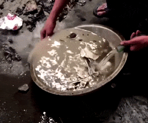 [VIDEO] Tro cốt của nạn nhân COVID-19 vô thừa nhận ở Ấn Độ được xúc vào bao tải, xương rửa trong thau