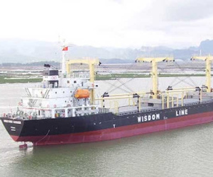 Cổ phiếu của công ty cung cấp sơn cho Hòa Phát, Hoa Sen tăng gần gấp đôi từ đầu năm