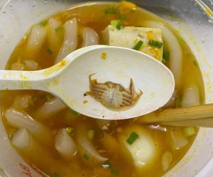 Háo hức ăn bánh canh ghẹ, thanh niên sốc nặng với hình dáng chú ghẹ được đích thân chủ quán lựa chọn cho vào tô