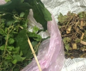 Bé 5 tháng tuổi bị suy gan nguy kịch, tiên lượng nặng khó qua khỏi do uống thuốc nam 'nhà tôi 3 đời' để chữa sốt, tiêu chảy