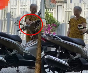 Con trai mới mất, mẹ già nhìn thấy chiếc xe máy dựng trong sân liền vuốt ve rồi bật khóc đau đớn