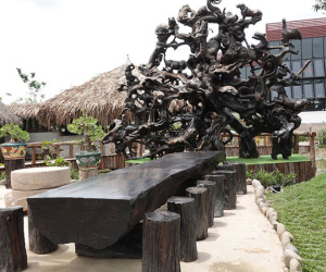 Đại gia miền Tây sở hữu 'báu vật' vớt lên từ đáy sông Tiền