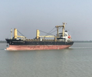 TPHCM: Phát hiện 9 ca dương tính từ tàu hàng hải của Ấn Độ