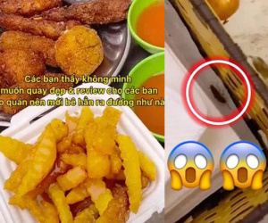 Gặp cả đàn gián bò trong hộp khăn giấy, Food Blogger gọi chủ quán ra hỏi thì được phán cho 1 câu: Nó có bò vào đồ ăn đâu?
