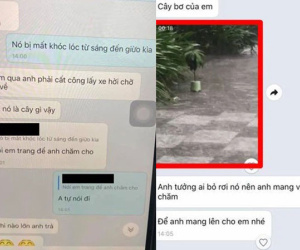 Khóc hết nước mắt vì mất cây bơ, cô gái bất ngờ khi biết danh tính kẻ 'cắp'