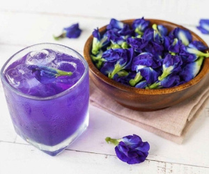 Trào lưu uống trà hoa đậu biếc để chống lão hóa: Chuyên gia chỉ ra sự thật đau lòng!
