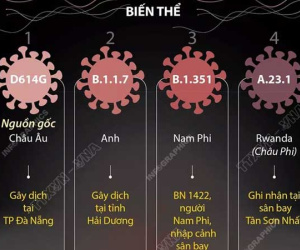 Đánh giá biểu hiện nặng và mức độ tử vong của biến chủng SARS-CoV-2 mới