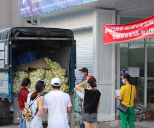 Người dân thủ đô chung tay giúp bà con Bắc Giang tiêu thụ dưa lê