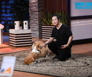 CEO Việt kiều ôm 2,7 tỷ cho startup 'ngắm' chó mèo, netizen chê ý tưởng lạc hậu, không hiểu sao lại được lên sóng gọi vốn?