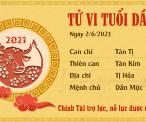 Tử vi thứ 4 ngày 02/06/2021 của 12 con giáp: Tý phát tài, Thân mất tiền