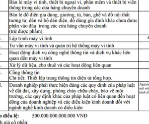 Vụ đăng ký góp hơn 500.000 tỉ đồng mở công ty: Giám sát việc góp vốn