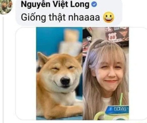 Hậu Hoàng tung ảnh mới liền bị fan bắt thóp loạt 'hint' cực tình cảm liên quan đến Mũi trưởng Long