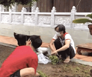 Giữa lùm xùm giải ngân tiền từ thiện, khoảnh khắc NS Hoài Linh tiều tụy xuất hiện trong nhà thờ Tổ 100 tỷ đồng gây xôn xao