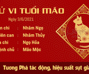 Tử vi thứ 5 ngày 03/06/2021 của 12 con giáp: Dậu tình cảm rạn nứt, Mùi vạn sự thuận lợi