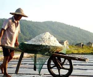 Rát mặt trên cánh đồng muối những ngày miền Trung nóng như nung