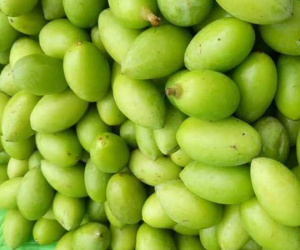 Trám non đầu mùa 50 nghìn/kg, mua về muối ăn dè mùa dịch