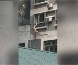 Đang tòm tem vợ người khác thì 'chính thất' về, anh chàng có màn thoát hiểm khiến người dân hét toáng lên