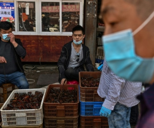 Tiết lộ sốc về chợ Vũ Hán: Manh mối quan trọng nhất về nguồn gốc đại dịch Covid-19?