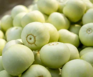 Ăn dưa lê nếu biết 3 điều này sẽ cực tốt cho sức khỏe, bạn nhất định phải biết để tránh ngộ độc