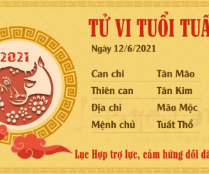Tử vi thứ 7 ngày 12/06/2021 của 12 con giáp: Thân mất tiền, Mão có lộc