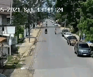 Video: Cây cổ thụ 300 tuổi quật ngã xe máy sau bão