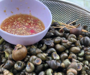Cô nàng khiến dân mạng rùng mình vì cách 'thu hoạch' ốc ở quê nhà, nhưng ai cũng thay đổi sắc thái 180 độ khi thấy kết quả cuối cùng