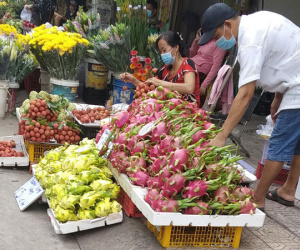 Vì sao thanh long vàng độc - lạ nhưng vẫn rớt giá thảm hại?