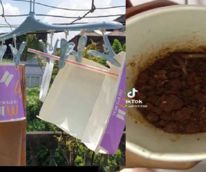 Con gái chen lấn kiệt sức để mua cốc thần tượng BTS, bố ở nhà mang ra đựng mồi câu: Nhìn mà xót ruột giùm!