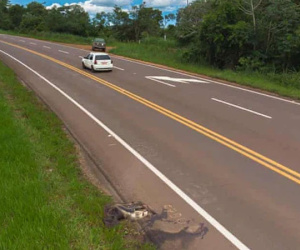 Con đường chết chóc nhất: Mỗi năm 3000 xác chết tại 'xa lộ tử thần' của Brazil, cái giá quá đắt mà thiên nhiên phải trả vì con người