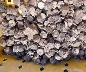 3 ngư dân bất ngờ phát hiện kho báu kim loại dưới đáy biển Quảng Bình